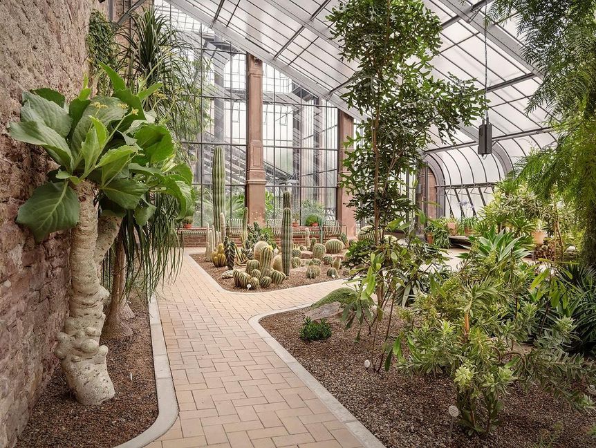 Botanischer Garten Karlsruhe, Pflanzen